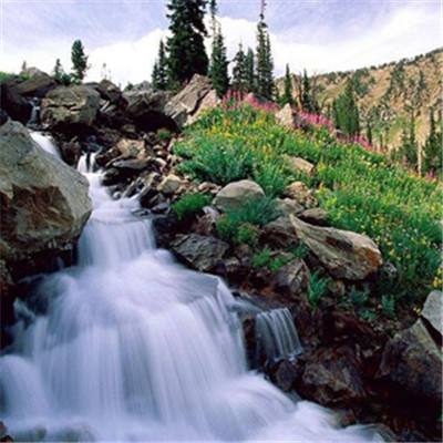 云开平台登录app